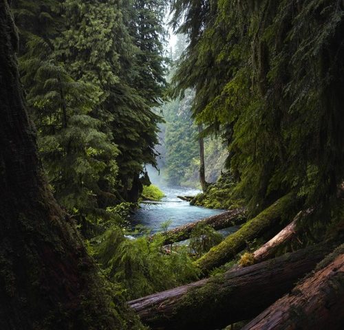 The Silent Struggles of Caregiving