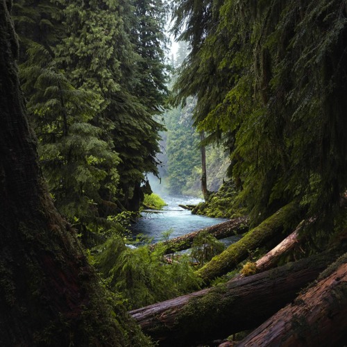 The Silent Struggles of Caregiving