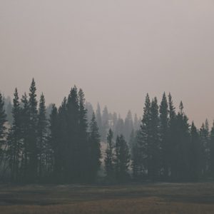 Read more about the article Writing Through the Pain