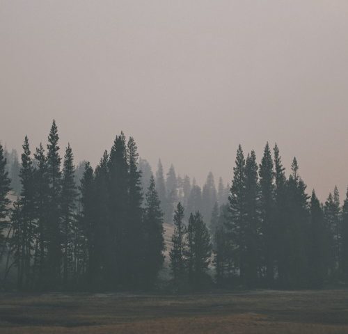 Writing Through the Pain