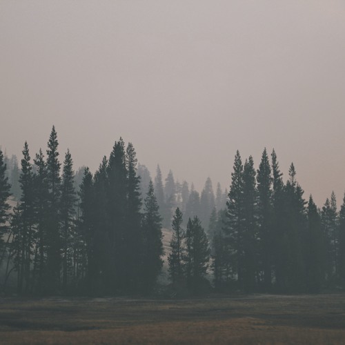 Writing Through the Pain